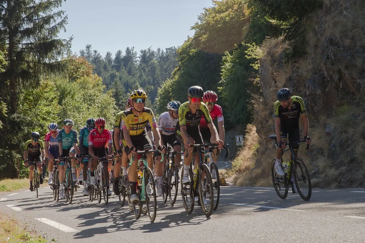 Gruppe cykelryttere i et cykelløb på landevej